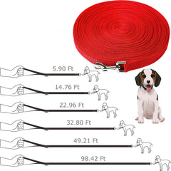 Long Dog Training Leash for Obedience Recall - 6 to 100 Feet