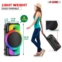 12-Inch Bluetooth Speaker Boombox Party Karaoke Machine Portable PA System with 2 Wireless Microphones PLB 12X1 2MIC