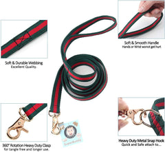 Premium Dog Leash with Luxury Style, Soft Durable Dog Leashes, Walking Training Leash for Small Medium Big Large Dogs