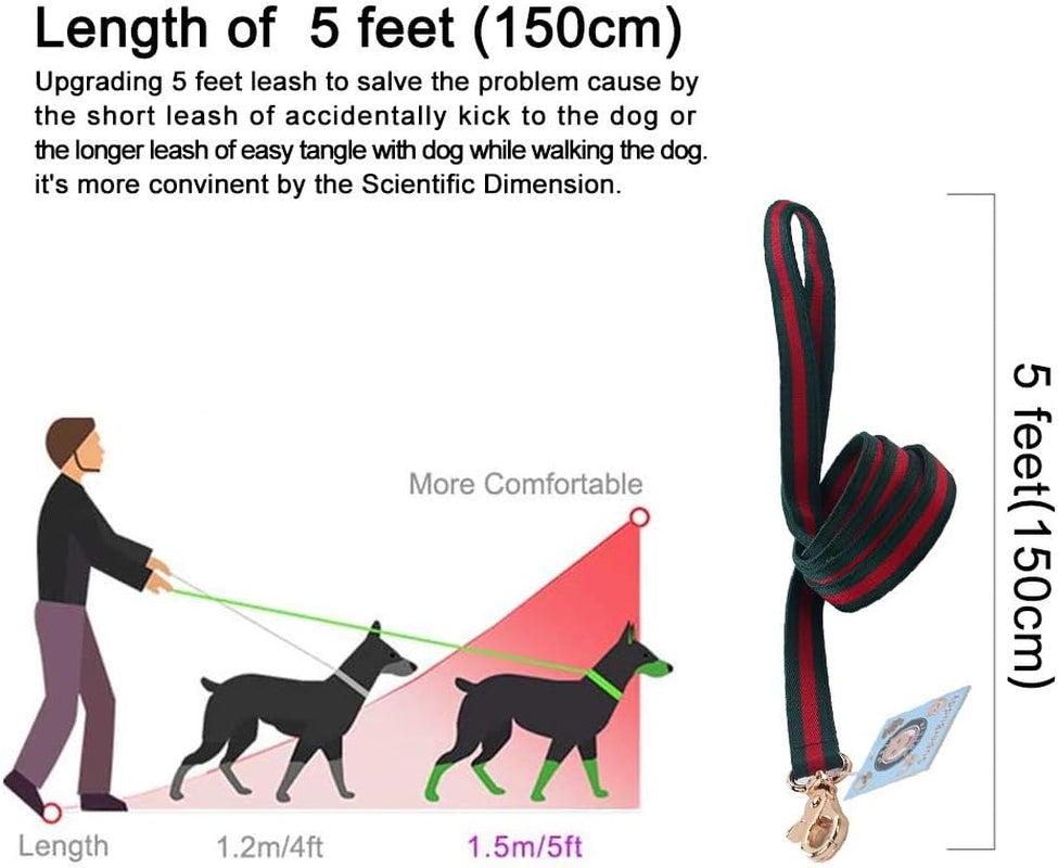 Premium Dog Leash with Luxury Style, Soft Durable Dog Leashes, Walking Training Leash for Small Medium Big Large Dogs